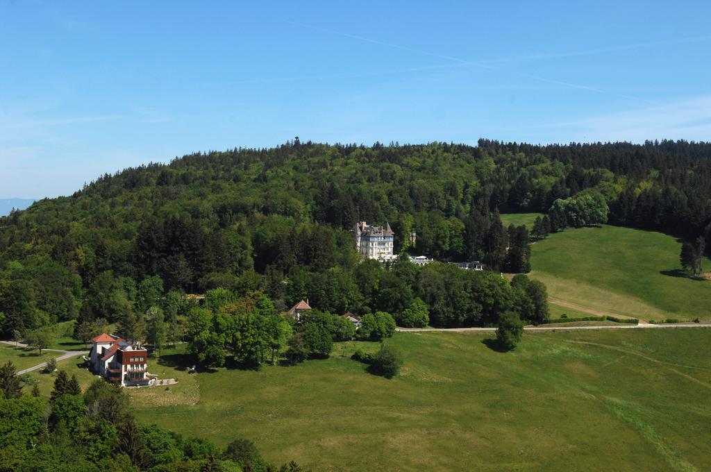 Chateau Des Avenieres Крюзей Экстерьер фото